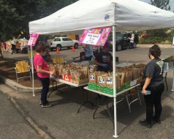 Sun Country Iris Society Payson Rhizome Sale