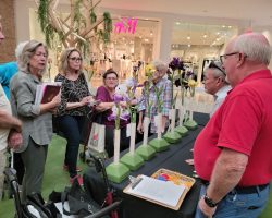 Sun Country Iris Society Iris Show