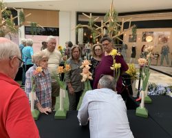 Sun Country Iris Society Iris Show