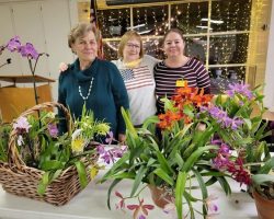 Sun Country Iris Society Guest Speaker