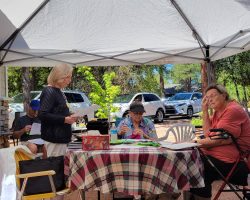 Sun Country Iris Society garden visit