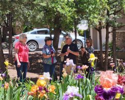 Sun Country Iris Society garden visit