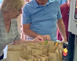 Sun Country Iris Society Rhizome Harvest