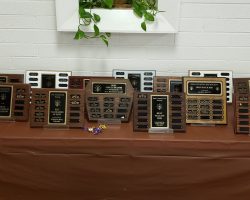 Sun Country Iris Society Show Plaques