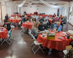 Sun Country Iris Society Year End Celebration