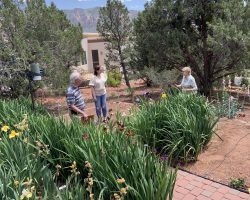 Sun Country Iris Society Garden Visit