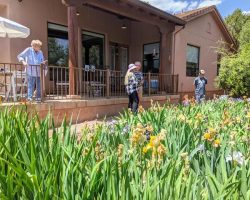 Sun Country Iris Society Garden Visit