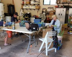 Sun Country Iris Society Rhizome Harvest