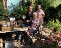 Sun Country Iris Society Rhizome Sale