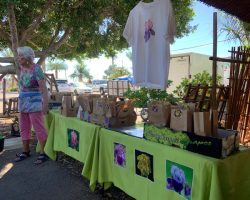 Sun Country Iris Society Rhizome Sale