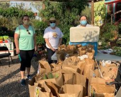 Sun Country Iris Society Rhizome Sale