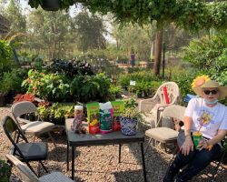 Sun Country Iris Society Rhizome Sale