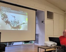 Sun Country Iris Society Monthly Meeting