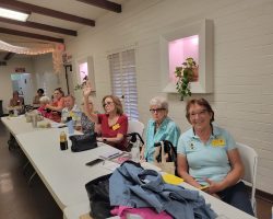 Sun Country Iris Society Rhizome Auction