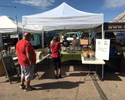 Sun Country Iris Society Rhizome Sale