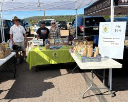 Sun Country Iris Society Rhizome Sale